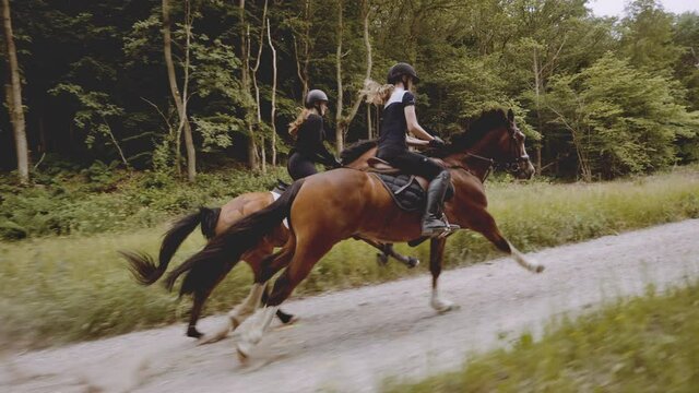 Two Female Equestrian Mounted in Speedy Majestic Horses by the Lush Forest