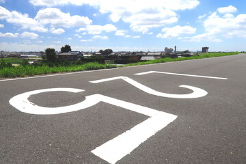 海から25キロメートル地点の江戸川左岸のサイクリング道路風景