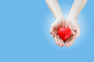 Red heart in hand women on blue background. cardiology symbol, valentine gift, love and health concept. isolated cut out and clipping path.