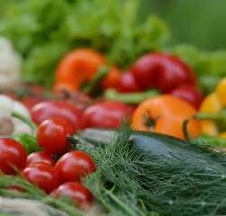 Colorful set organic food. Fresh raw vegetables. Healthy vegetarian food.Vegetarian eating concept