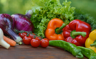 Beautiful fresh organic vegetables on the background of a blurred green vegetable garden. The concept of gardening, healthy eating, vegetarianism. Copy space for text