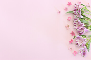 Top view image of pink and purple flowers composition over pastel background .Flat lay