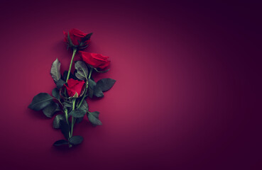 Red background with rose. Top view
