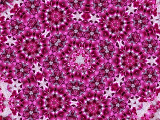 Digitally created Pattern with a Kaleidoscope effect featuring a design of pink Rose petals.