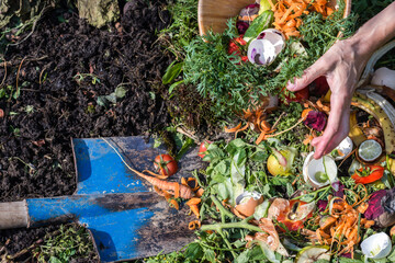 Compost box outdoors full with garden browns and greens and food  wastes, woman throwing away...