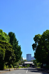 Fototapeta na wymiar 皇居にある北の丸公園