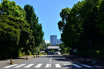 皇居にある北の丸公園