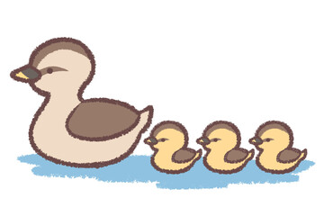 泳ぐカルガモ親子