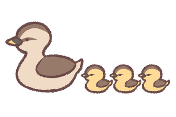 足を隠すカルガモ親子