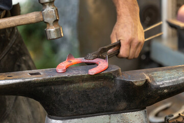A farrier at work. A blacksmith preparing a horseshoe to apply it on a horse hoof. Horse shoeing...