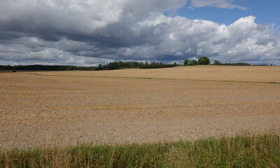Fototapeta premium fields