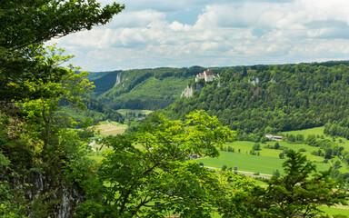 Fototapeta na wymiar Wildromantisches Oberes Donautal mit Ausblick auf Schloss Werenwag (Gemarkung Langenbrunn)