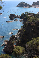 rocky coast of the sea