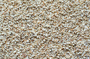 Dry organic job's tear seed background ready for healthy or diet food ingredient concept
