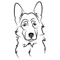 vector contour german shepherd head, logo purebred pet, white black dog portrait, companion and animal friendship, realistic simple face
