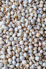 Closed up dry organic millet seed background