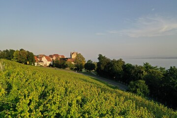 Obraz premium Wine in front of the Cityscape of Meersburg, Germany
