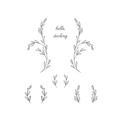 Collection of elegant hand drawn branches.	 - 450987099