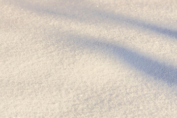 Fototapeta na wymiar Gorgeous view of winter frosty texture. Beautiful winter snowy background.