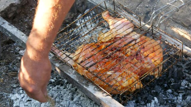 Whole juicy with spices grilled chicken tabaka or tapaka at summer picnic