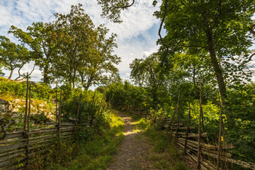 Beautiful view of an old overgrown with moss traditional fencing in the village on green grass background. Sweden.