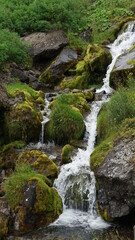detail from the estuary of the waterfall on the rocks of the green mountain with moss and lichen, Seydisfjordur, Iceland