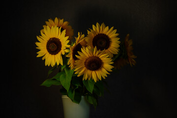 Sunflowers in a vase, gray background
