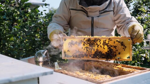 A beekeeper works on a beehive near the hives. Natural honey directly from the hive. Cell with fresh honey.