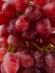 Grapes. Red grape. Grape branch isolated on white. With clipping path. Full depth of field.