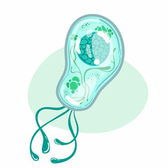 Vector illustration of bacteria. Schematic representation of a microscopic organism. Virus, microbe, molecule in cartoon flat trending style.