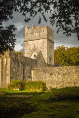 Muckross Abbey ruin in Ireland