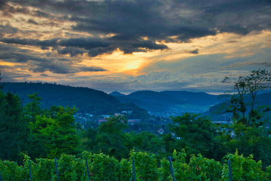 Sonnenaufgang auf dem Schutterlindenberg bei Lahr im Schwarzwald