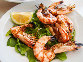 seafood. large sea shrimps with lemon and herbs on a white dish