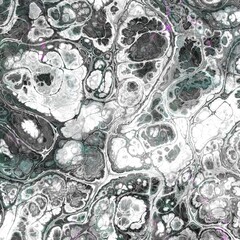 Digital fractal pattern. Abstract background.