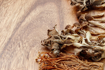 日本のいろいろな乾燥キノコ
