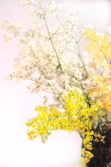 Summer or spring bouquet with yellow and white flowers in vase on windowsill, white background