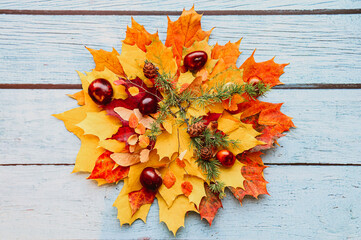 red and yellow dry autumn maple leaves stacked on top of each other, on top of them are chestnuts, maple seeds, and a sprig of larch with cones, on a blue wooden background. fall concept, flat lay