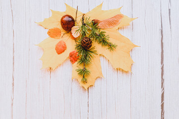 single red and yellow dry autumn maple leaf, on top of them are chestnuts, maple seeds, and a sprig of larch with cones, on a beige wooden background. fall concept, flat lay