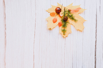 single red and yellow dry autumn maple leaf, on top of them are chestnuts, maple seeds, and a sprig of larch with cones, on a beige wooden background. fall concept, flat lay