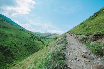 Fototapeta na wymiar ジョージアのカズベキ村にある道