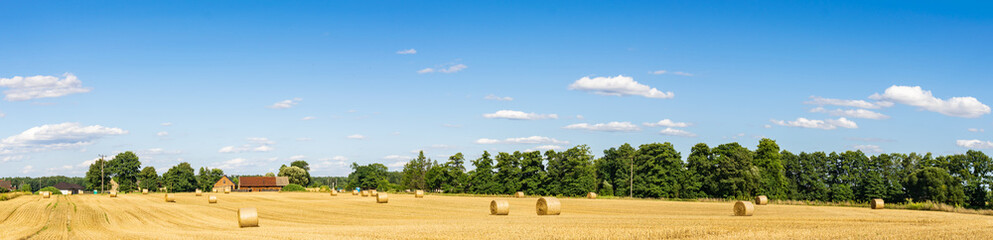 farmland on a beautiful sunny day against the background of blue sky