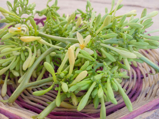 Papaya flowers on woven rattan that are ready to be cooked, made from Indonesian vegetables