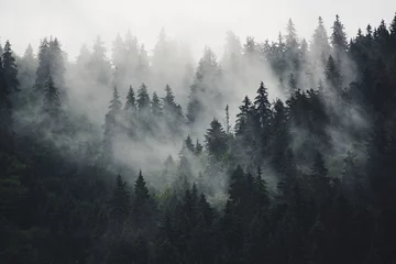 Outdoor-Kissen Nebelhafte Berglandschaft © Roxana