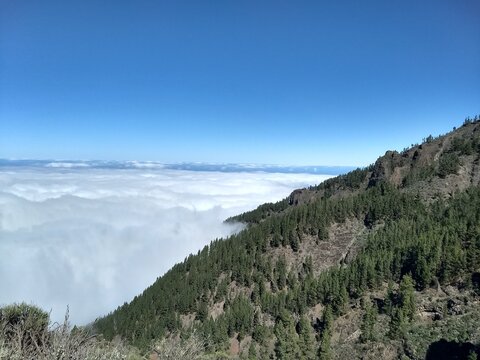 sea of clouds 