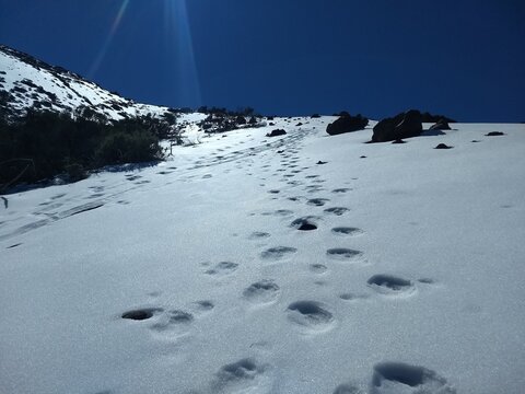 snow covered mountain