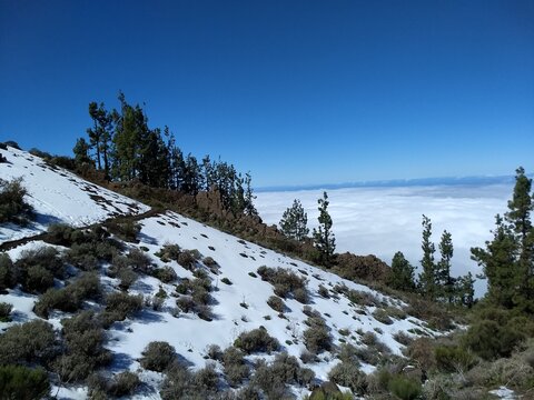 snow covered mountains
