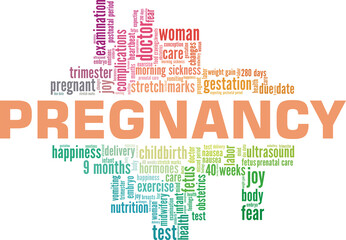 Pregnancy vector illustration word cloud isolated on a white background.