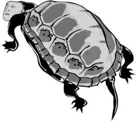 浮世絵　かめ　その5