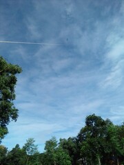 Obraz premium clouds and trees