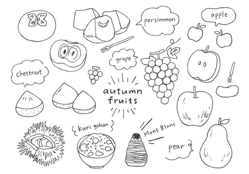 秋の果物の手描きイラストセット（モノクロ）